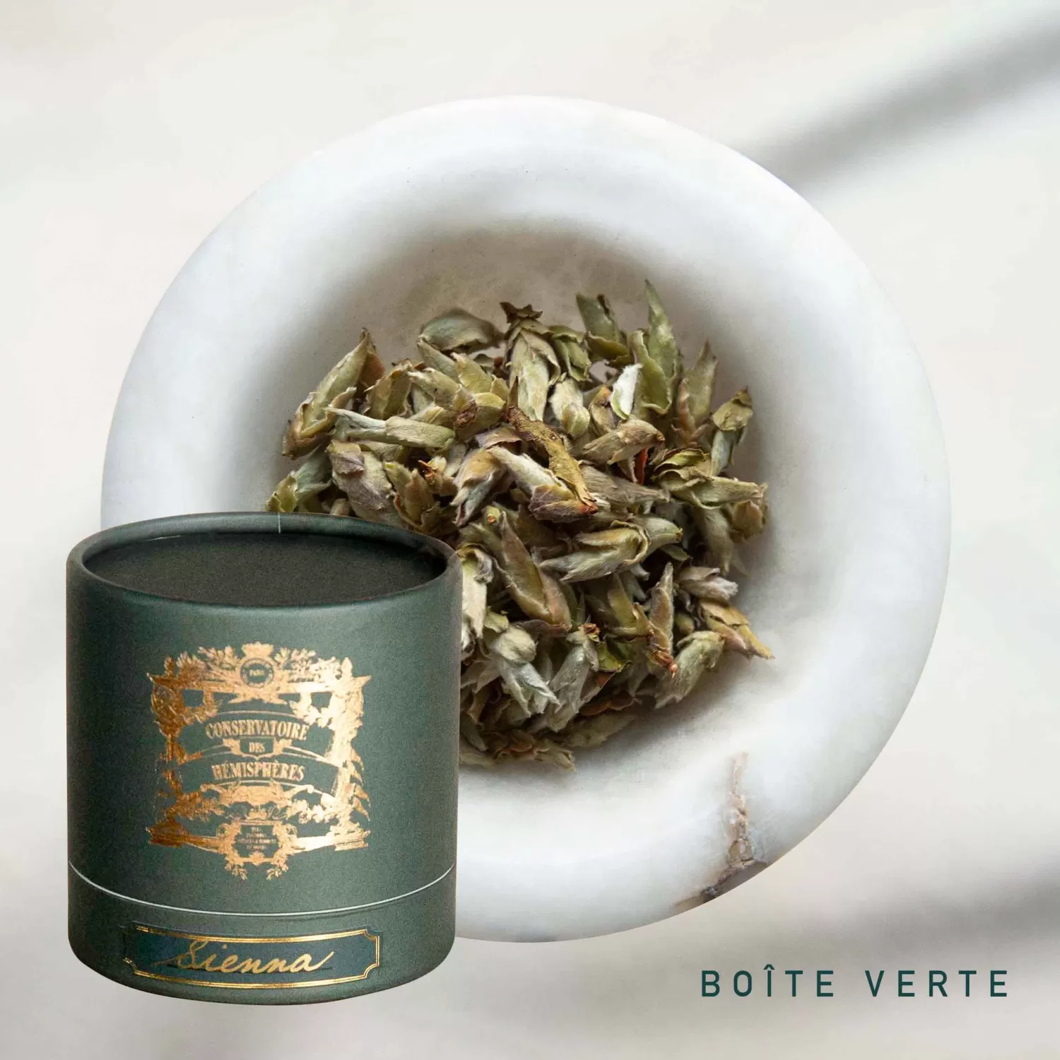 bourgeons_sauvages_du_yunnan_3.webp BOURGEONS SAUVAGES DU YUNNAN*Conservatoire des Hémisphères Best Sale