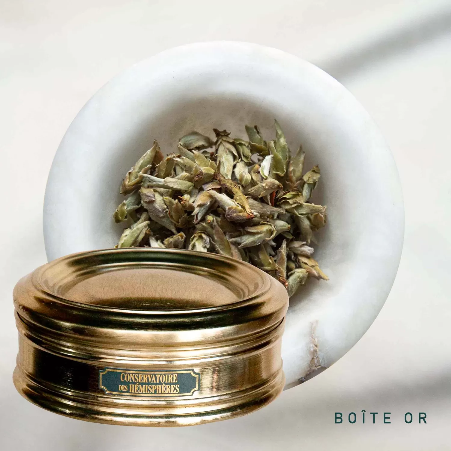 bourgeons_sauvages_du_yunnan_4.webp BOURGEONS SAUVAGES DU YUNNAN*Conservatoire des Hémisphères Best Sale