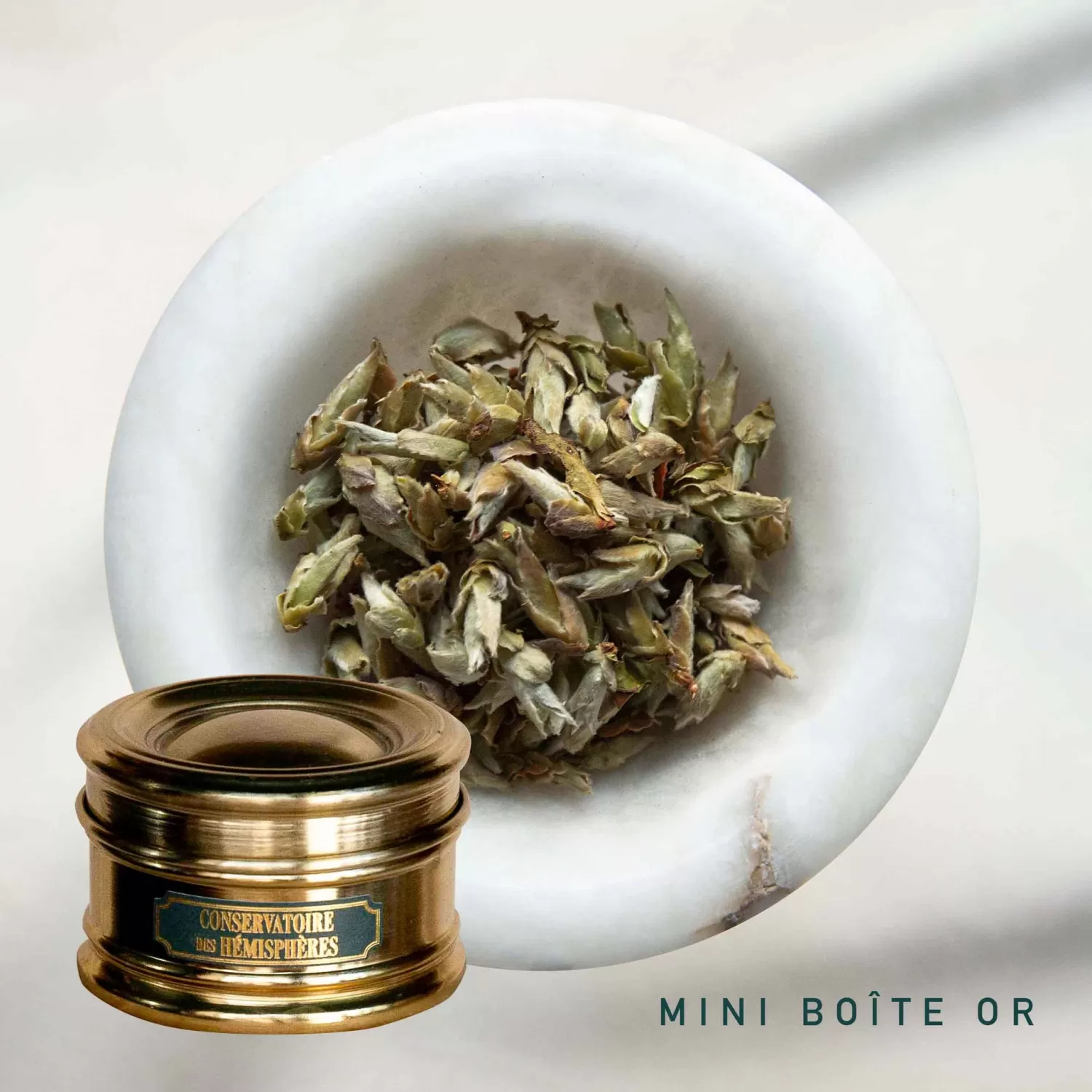 bourgeons_sauvages_du_yunnan_5.webp BOURGEONS SAUVAGES DU YUNNAN*Conservatoire des Hémisphères Best Sale