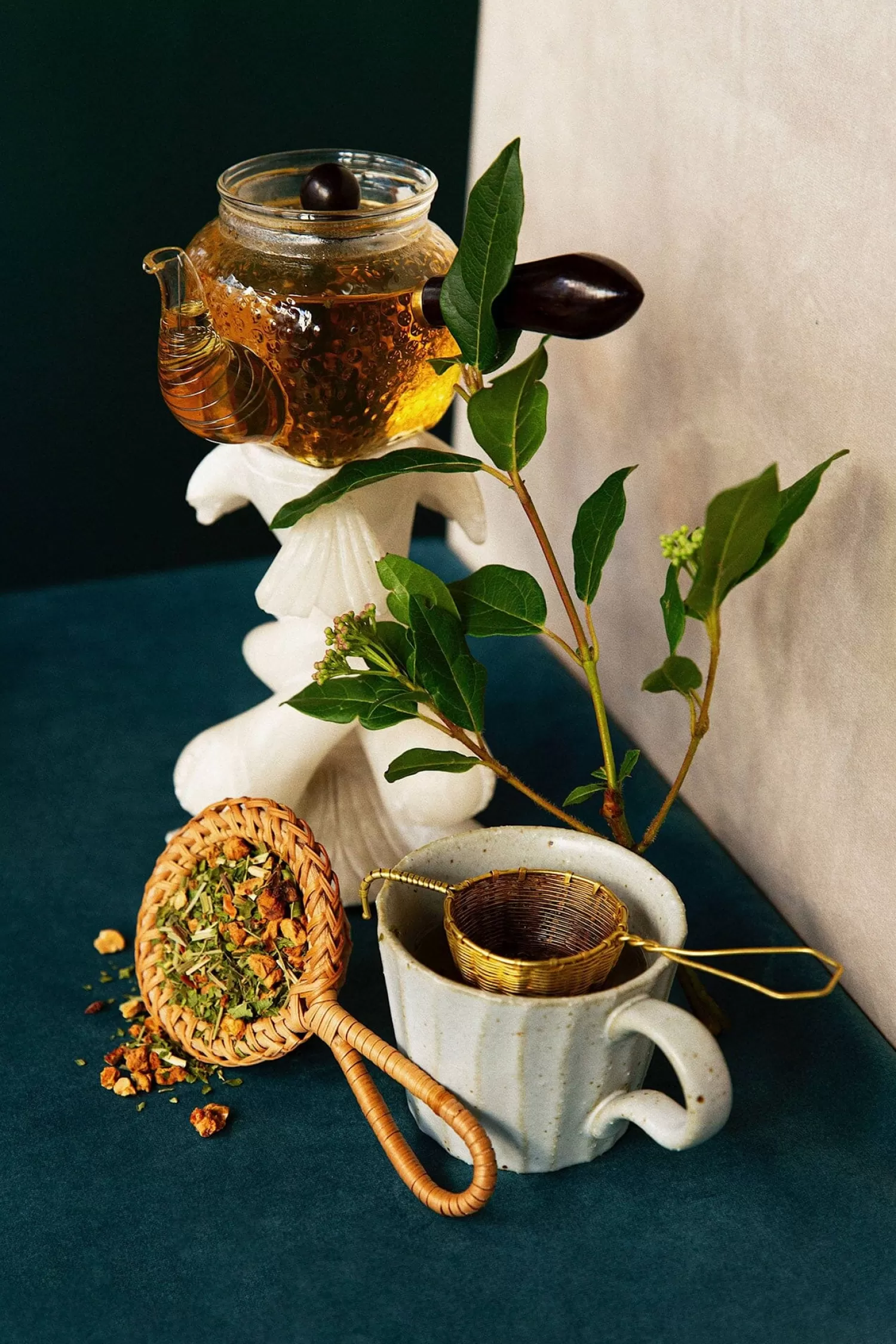 montblanc_bio_2.webp MONT-BLANC BIO*Conservatoire des Hémisphères Best