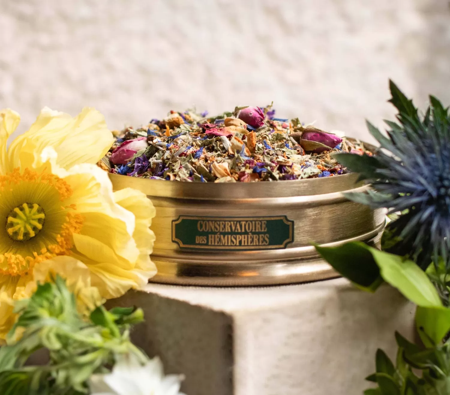 rive_gauche_2.webp RIVE GAUCHE*Conservatoire des Hémisphères Flash Sale