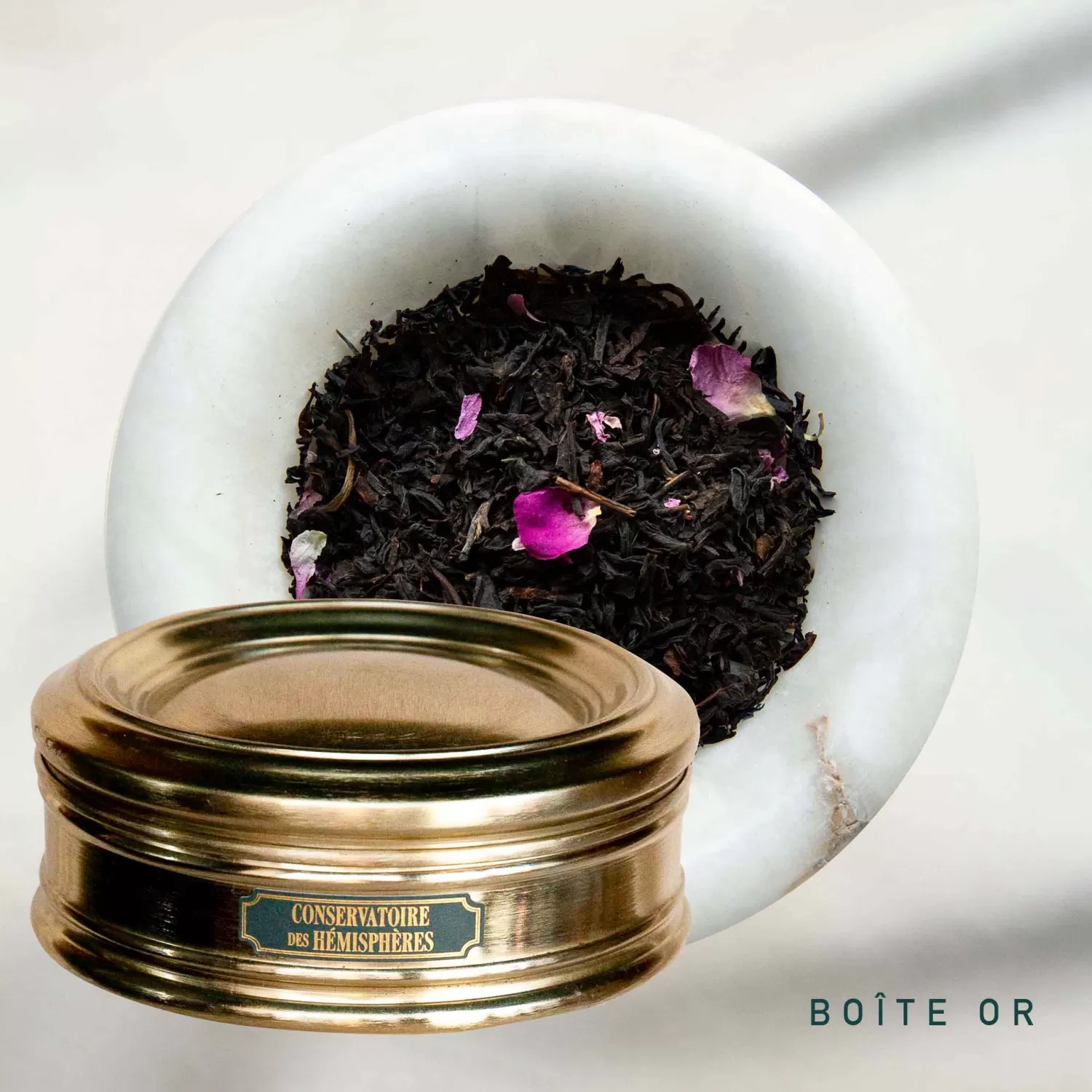 rose_de_lancastre_bio_3.webp ROSE DE LANCASTRE BIO*Conservatoire des Hémisphères Hot