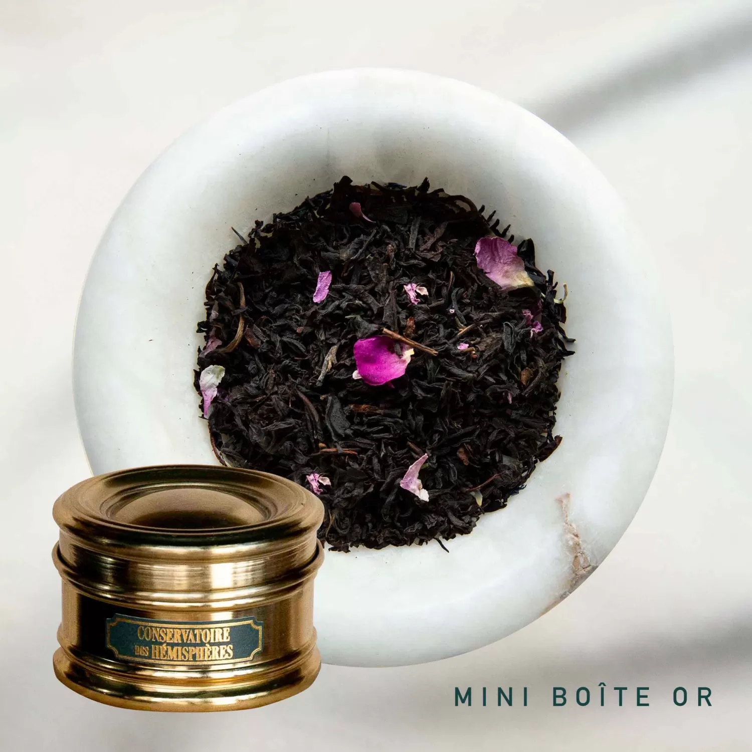 rose_de_lancastre_bio_4.webp ROSE DE LANCASTRE BIO*Conservatoire des Hémisphères Hot