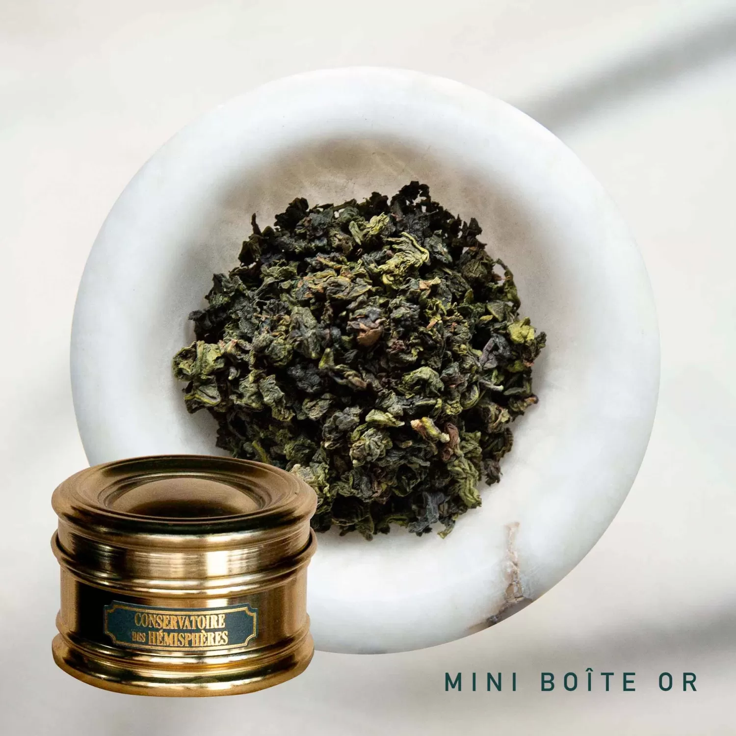 tie_guan_yin_5.webp TIE GUAN YIN*Conservatoire des Hémisphères Clearance